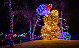 Brooktondale NY Taxi and car Service holiday lights tour transportation for families and visitors