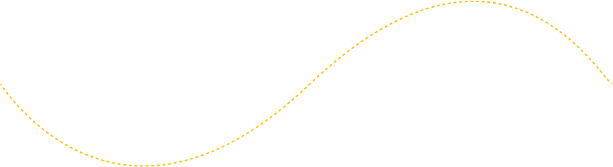 Decorative line connecting Brooktondale NY Taxi Service booking steps